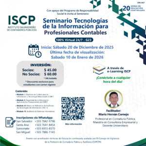 Seminario Tecnologías de la Información para Profesionales Contables G23