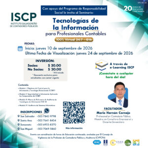 Seminario Tecnologías de la Información para Profesionales Contables G16