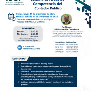 Seminario Áreas de Competencia del Contador Público